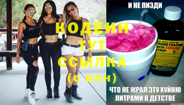 дмт Абаза